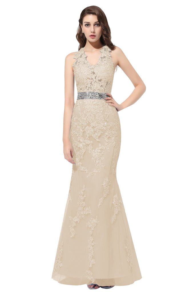 Dresstells Long Prom Dress lllusion Mermaid Evening Gown Applique Party Dress
